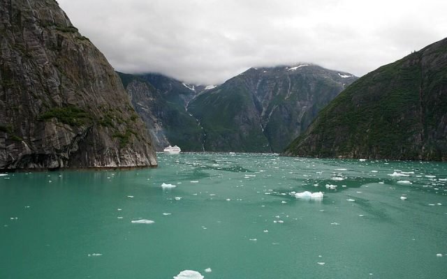 Small icebergs floating in the green water of Tracy Arm fjord between steep cliffs
