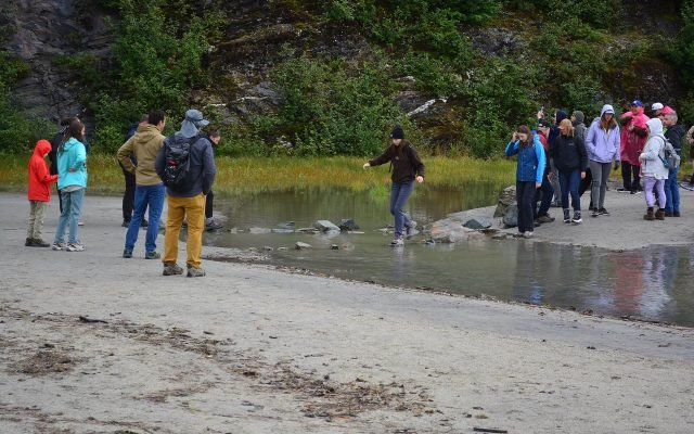 Visitors in rain jackets and hiking shoes crossing stepping stones on the gravel beach near Nugget Falls