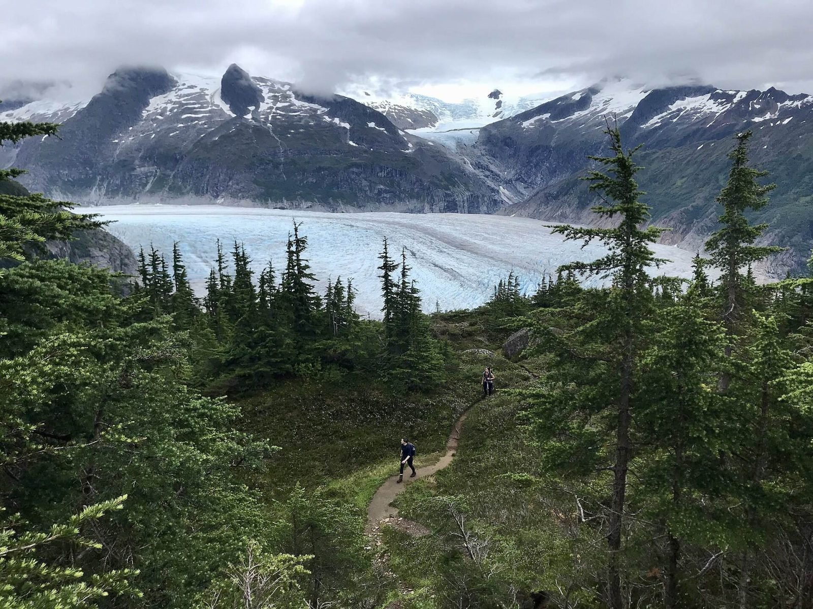 Hikers on a forest trail high above the wide, white tongue of Mendenhall Glacier
