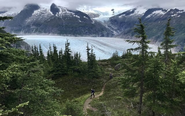Hikers on a forest trail high above the wide, white tongue of Mendenhall Glacier