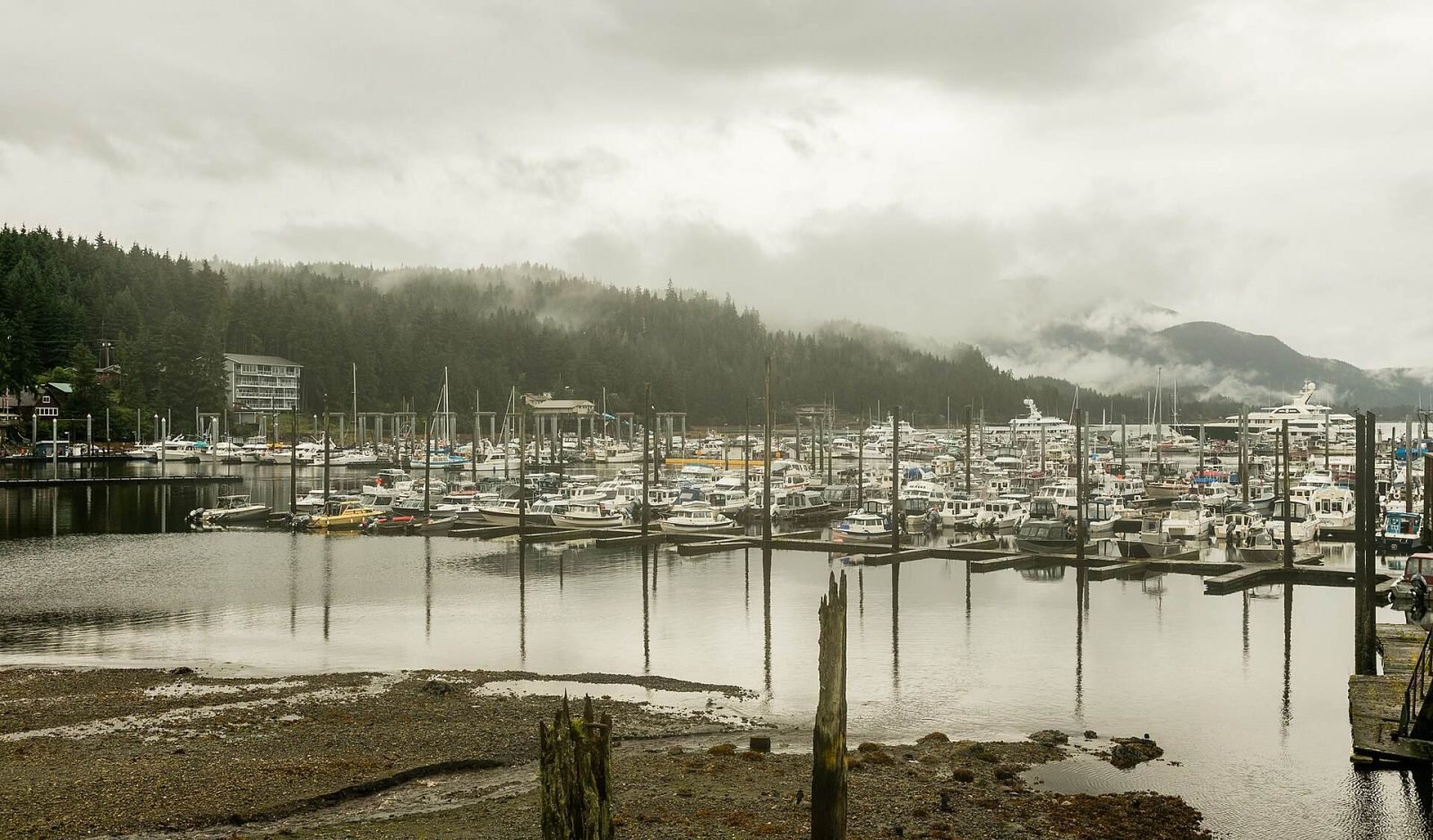 Juneau harbor full of boats below forested mountains on a cloudy day